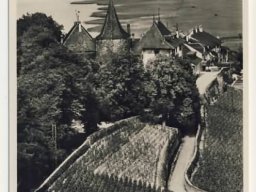 Schloss_Erlach_mit_St__Petersinsel_1935