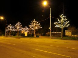 2014-Ipsach-4