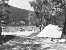 Erlenwaeldli