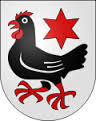 finsterhennen